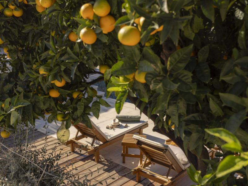 Villa Palma , Dubrovnik region  