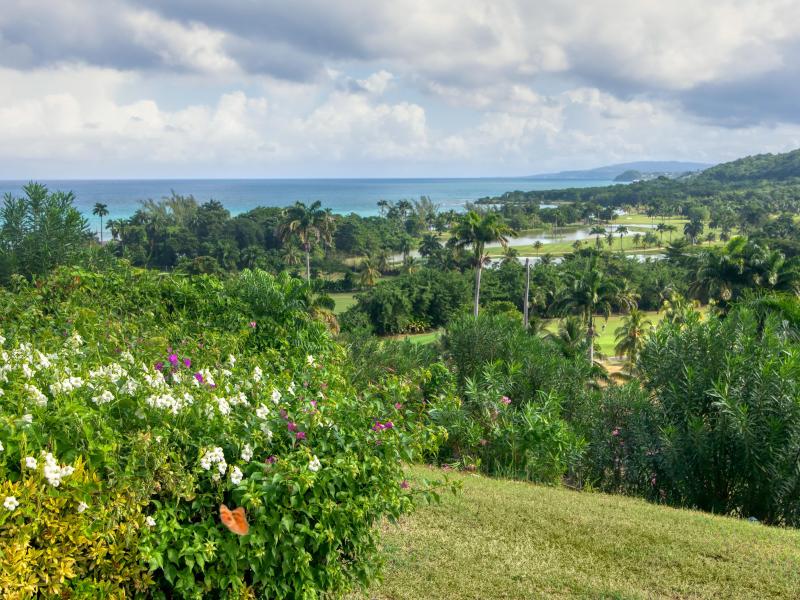 One Love , Montego Bay , Tryall  