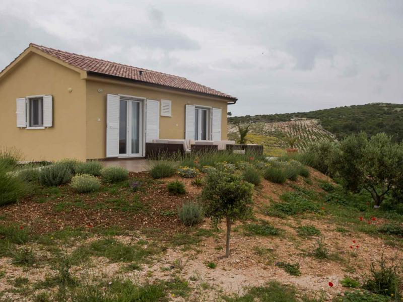 Villa Mediterranea Hvar , Islands  