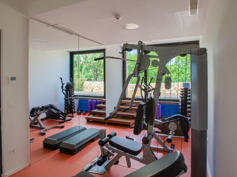 Yellow Tree villa Istria , Istria  