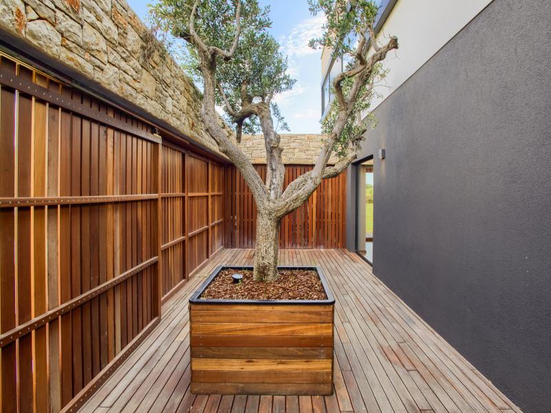 Yellow Tree villa Istria , Istria  